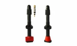 Valves Tubeless Barbieri Carbonaria (x2)