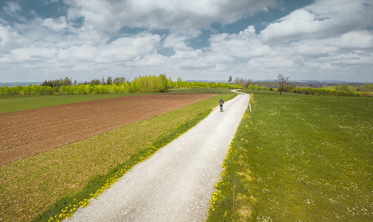 Pneu Schwalbe Marathon Plus Tour 700 / 28" - Addix E - Smart DualGuard 6 Pneu Schwalbe Marathon Plus Tour 700 / 28" - Addix E - Smart DualGuard – Image 6