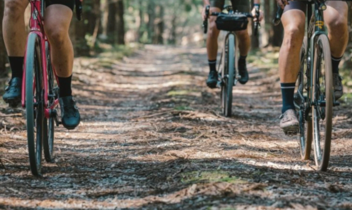 Pneu Vélo Panaracer Gravelking - 2022 Limited Edition ZSG Natural Compound - Tubeless Compatible 3 Pneu Vélo Panaracer Gravelking - 2022 Limited Edition ZSG Natural Compound - Tubeless Compatible – Image 3